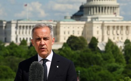 Omega Crypto Recovery Specialist  Helps Victim Recover $1.6M from Pig Butchering Scam